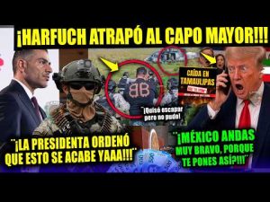 HARFUCH ¡Atrapó Al CAPO de CAPOS en MÉXICO! Trump ¡Quedó Alucinado! Sheibaum ORDEN Campechaneando