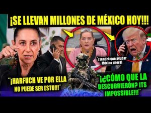 SHEINBAUM ¡Se llevan MILLONES de México! INE TADDEI TRUMP orden hoy Harfuch Campechaneando NOTICIA