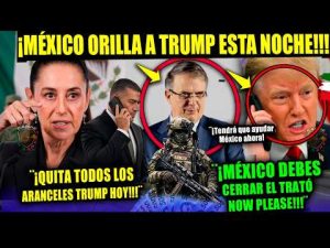 SHEINBAUM ¡Caerán los Millones Trump a punto de Soltar BILLETIZA en México! EBRARD Campechaneando